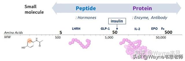 鏌愬ぇ鐗屾皑鍩洪吀鑲屽簳琛ｅ埌搴曟槸榛戠鎶€杩樻槸鏅哄晢绋庯紵浣犱腑鎷涗簡鍚楋紵