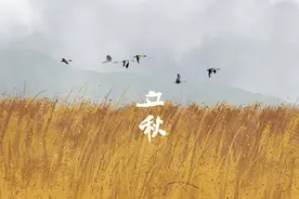 秋季养肺最重要，中医教你一味药，补足一整年的肺气图片