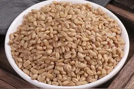 动不动就出汗，盗汗症，并不是体虚，而要益气固表图片