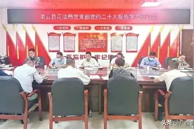 凌云县司法局 | “四大妙招”耕好“责任田”图片