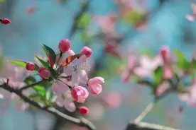 读懂《红楼梦》的这10句名言，就可以笑对人生！图片
