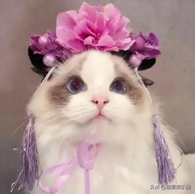 家暴男人的性格特点,家暴男的特征 - 冷求网