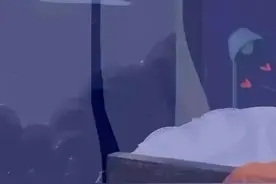 精子进入女性体内，会发生什么？图片