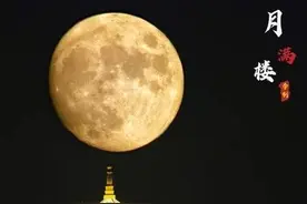 写作素材分享！高中必备篇目！图片
