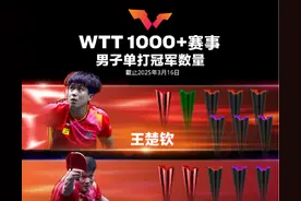 樊振东不参赛！澳门世界杯名单出炉图片