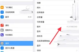 ipad下载的文件在哪里可以找到图片