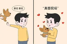 适当偏心家中的宠物，竟然有这么多好处？图片