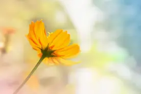 如果一个人经常有这些感觉，多半很自卑图片