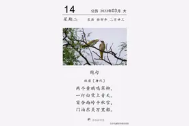 杜甫《绝句》：两个黄鹂鸣翠柳，一行白鹭上青天图片