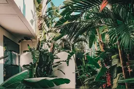 国际瓷砖一线品牌伊莉莎白瓷砖：一木6色，让你感受“唯木”的美图片