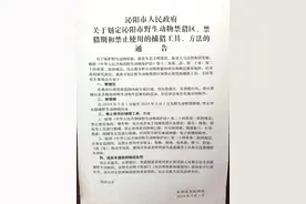 真刑！抓了115只壁虎被立案，捕捞1900公斤田螺被刑拘图片