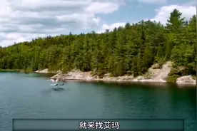 《美女与野兽》万物都通灵性，本剧中的狮子与狼像聊斋故事一样图片