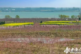 安徽肥东：花开正艳美如画图片