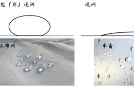 胖子=表面张力大？瘦子=表面张力小？图片