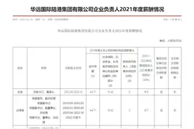 华远国际陆港集团企业负责人2021年度薪酬情况图片