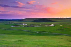 中国慢性淋巴细胞白血病/小淋巴细胞淋巴瘤的诊断与治疗指南（2022年版）图片