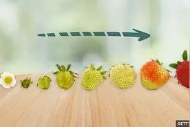 BBC你问我答：学习 develop 的多种用法图片