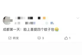 痒！痒！痒！成都夏日蚊子图鉴图片