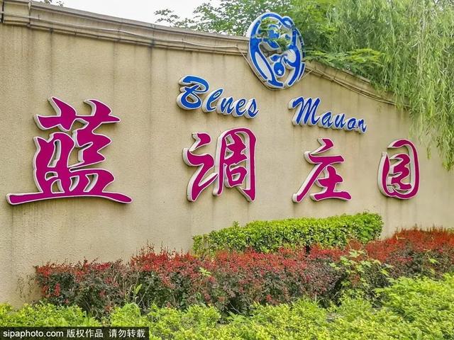 春日采摘正当时！京郊这些地方采摘品种多