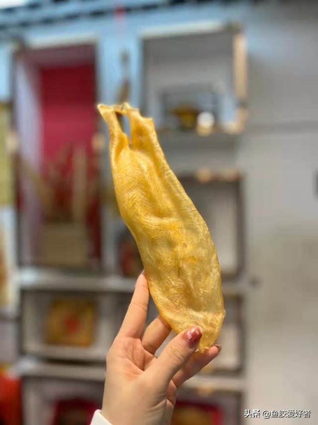 甲肚鱼胶的功效 2026年甲肚鱼胶的功效与作用及禁忌