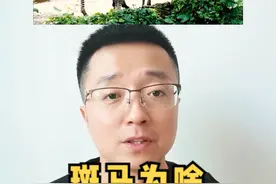 斑马也是马，为啥不能骑？#科普 视频封面