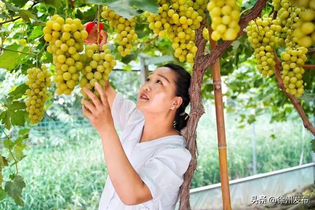 金秋微度假，就来贾汪，66个必玩之地安排！