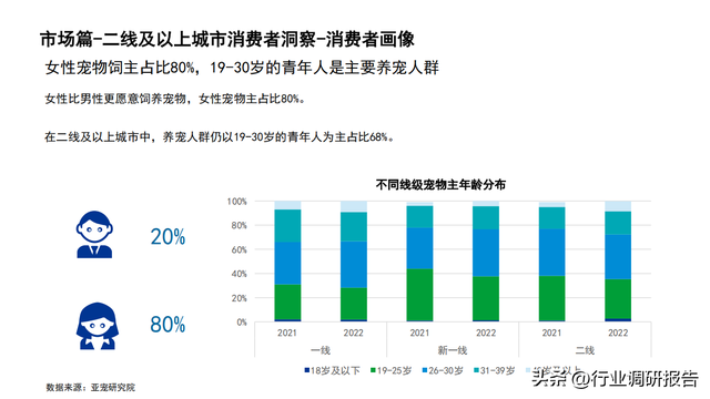 2022���й�������ҵ��չ���棨�����ߡ������ŵꡢ�г�����