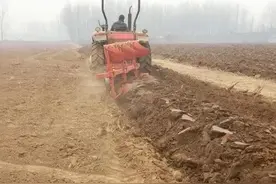 小麦高产种植讲座（二）整地是深耕犁地好，还是旋耕好？图片