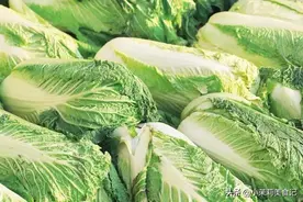 买大白菜，“青口菜”和“白口菜”能分清吗？口感差别大，别买错图片