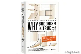 《洞见》，为什么要冥想？图片