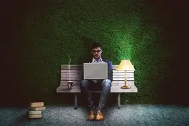 区网红大雁被游客踢中要害离世 吓着孩子：网友愤怒 应重罚图片