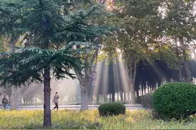 这些歌里，有一个你的故事图片