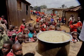 台海冲突日本饿死一半？俄禁大米出口，日外相出访6国，拜登误判图片