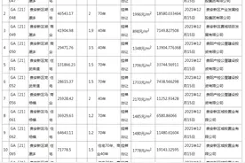 贵阳集中成交18宗地块 收金约31.56亿元图片