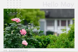 大师书单 | 5月特辑：在不断创新中创造竞争优势图片