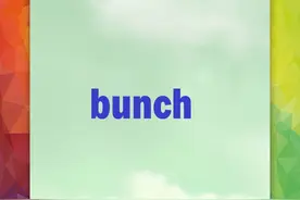 每日一词“bunch”图片