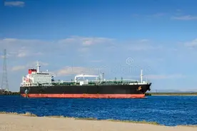 一文讲透，TMSA与SIRE2.0那些事(结束篇)图片