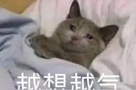 “气得胃疼”是真的？原来胃是个情绪器官图片