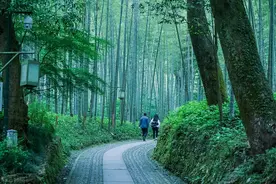 欲解《西游释厄转》，须知造化会元功图片