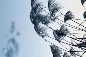 神秘的中元节图片