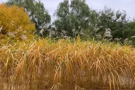 胡懋仁：世界观与方法论的初步解析图片