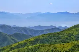 法律是多元利益与权利的平衡器图片
