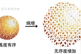 都在追求高情商，为什么生活里偏偏要低熵？图片