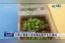 妙不可言！这堂“宇宙级网课”，干货满满图片