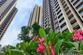 难以置信！东莞46平一室一厅洋房，一套总价才9.9万图片