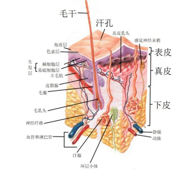 �������������٣�һ�����ͻ�Ī���������ǳ��������ǽ������ƣ�