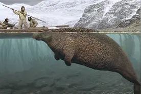 世界上最凄惨的生物，从发现到灭绝仅用了27年，究竟怎么回事？图片