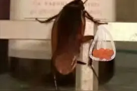 那些神回复，你都知道几个？图片