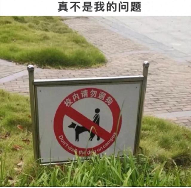 媳妇出差发来照片，这下真的绿了，实锤了兄弟挺住啊，哈哈哈