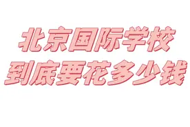 北京国际学校到底要花多少钱图片